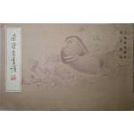 《榮寶齋畫譜》-工筆花鳥部分    周天民繪    北京人民印刷廠  新華書店發行      7成新